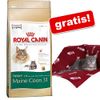 Kleingebinde Royal Canin Breed + Fleecedecke gratis!