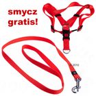 Komplet: szelki + smycz odblaskowa, kolor pomarańczowy