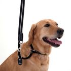 Laisse pour chien Hunter Retriever Freestyle