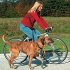 Laisse pour vélo et jogging Trixie