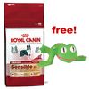 Large Bag of Royal Canin + Latex Dog Toy Free!