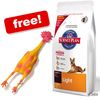 Large Bags Hill's Science Plan + Rubber Chicken Toy Free!