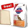 Large Bags Hill's Science Plan + Scratching Mat Free!