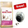 Large Bags Royal Canin Breed + Catmosphere Treat Ball Free!