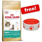 Large Bags Royal Canin Breed + Ceramic Cat Bowl Free!