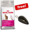 Large Bags Royal Canin Feline + Laser Pointer Free!