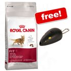 Large Bags Royal Canin Feline + Trixie Laser Pointer Free!
