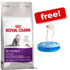 Large Royal Canin Feline + Cat Track Interactive Toy Free!