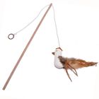 Lenza gioco Nature Cat Toy Gockel