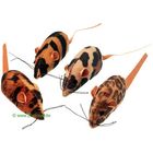 Leopard-Mouse with Catnip