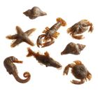 Let´s Bite Sea Food