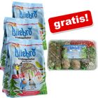 Lillebro dla dzikich ptaków + Mieszanka Specjałów gratis!