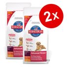 Lot économique : croquettes Hill's Canine 2 x 12 kg