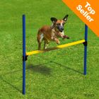 Lot de 2 haies Agility pour chien