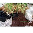 Lot de plantes pour étang par Wakus