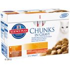 Lot de sachets Hill's Feline 12 x 100 g