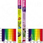Lot de tubes fluorescents Arcadia T8