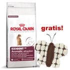 Malé balení Royal Canin + motýlek s catnipem zdarma!