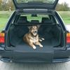 Manta de coche para perros antideslizante