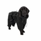 Manteau en polaire pour chien Polar