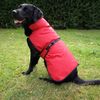 Manteau pour chien Authentic Red