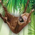 Marshall Monkey Hammock