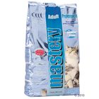 Mastery Cat Adult Preference con pescado del mar del norte
