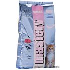 Mastery Cat Kitten Starter