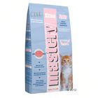 Mastery Cat Kitten Starter