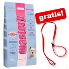 Mastery Dog 13,5 kg + rode puppylijn GRATIS