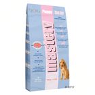 Mastery Dog Puppy First Age