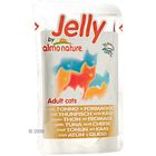 Megapack Almo Nature Jelly 24 x 70 g