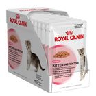 Megapack Royal Canin Pouches 12 x 85g