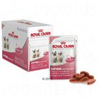 Megapack Royal Canin sobres 12 x 85 g