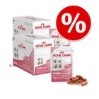 Megapack Royal Canin sobres 24x85 g