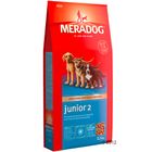 Mera Dog Junior 2