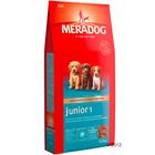 Mera Dog Junior 1