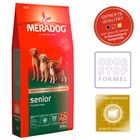 Mera Dog Senior