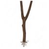 Natural Wood Y-Perch