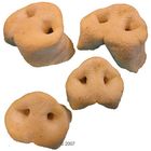 Nez de porc soufflés pour chien