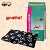 12 of 15 kg Eukanuba + fleecedeken Barney GRATIS!
