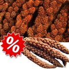 Offerta JR Birds: panico rosso in pacco doppio!