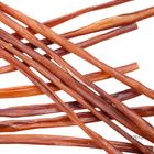 Original Carnello spaghetti pour chien
