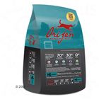 ORIJEN Adult Dog Food