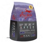 ORIJEN Puppy Large Dog Food