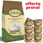 Pacchetto prova Lukullus