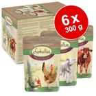 Pacco prova misto Lukullus in busta 6 x 300 g