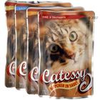 Pack de prueba: Catessy 4 x 100 g