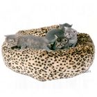 Panier pour chat et petit chien Leo