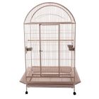 Parrot Cage Duke